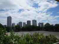 昼には雨が上がりました