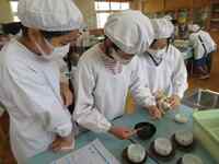 お茶の量も正確に量ります