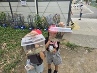 見て!見て!