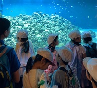 たくさんの生き物を見学しました