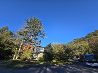 今日も快晴です。